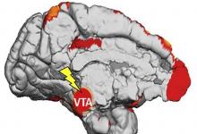 研究人员发现大脑如何从潜意识刺激中学习