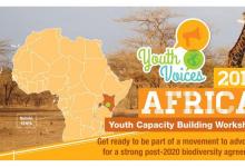 2018年GYBN非洲区域青年能力建设研讨会