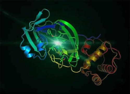 SARS-CoV-2蛋白的新发现揭示了病毒感染细胞的能力