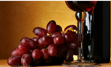葡萄和葡萄酒中存在的化合物可调节2型糖尿病患者的血糖