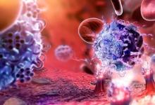 研究表明免疫疗法对胃癌和食道癌有益