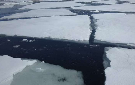南极海冰的碳排放量可能没有以前想象的那么大