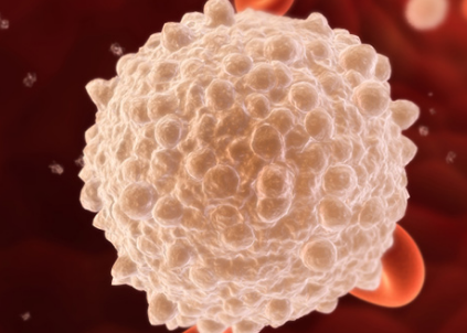 科学家在最新医学突破中发现四种新型人类血细胞