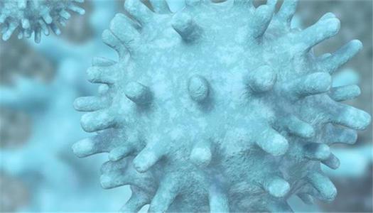 计算机模型使用病毒更好地预测冬季流感毒株
