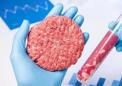 科学家证明与传统生产的肉相比细胞培养的肉产品可以提供增强的营养
