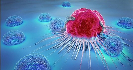 新研究将支持癌症环境免疫疗法的概念