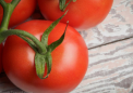 如果您患有慢性疼痛 请限制食用西红柿茄子和其他茄属植物