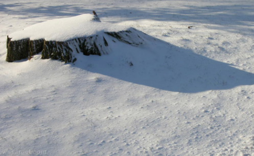 科学家低估了北美的积雪量