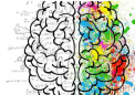 人工智能帮助科学家理解思想背后的大脑活动