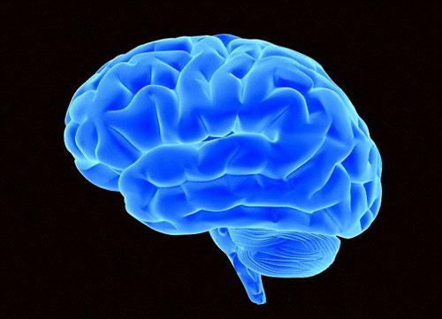 一项新的研究表明四十多岁后的运动可以阻止大脑萎缩