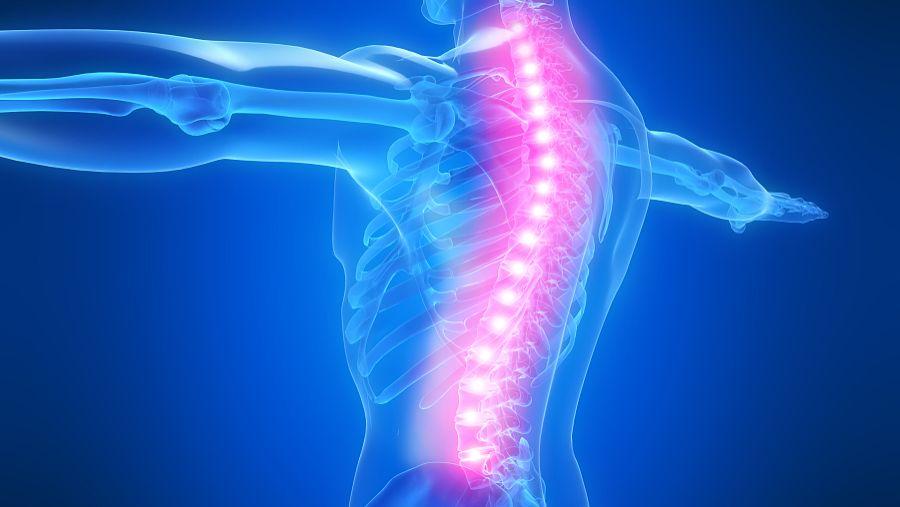 科学家探索脊髓损伤患者的加工速度缺陷