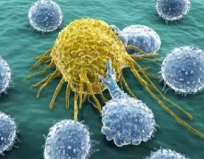 研究人员确定了传播癌症的蛋白质