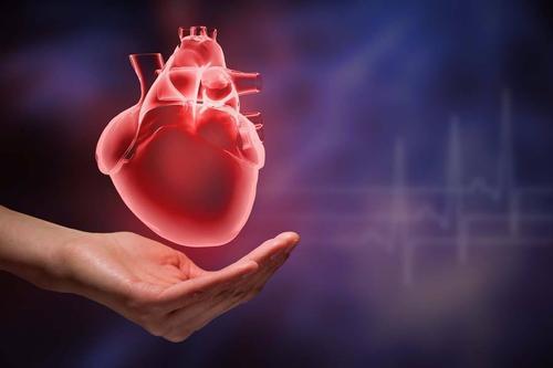 矮个子的人患心脏病的风险可能会增加