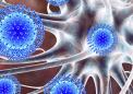 CytoDel宣布无需病毒载体即可成功交付神经内抗体