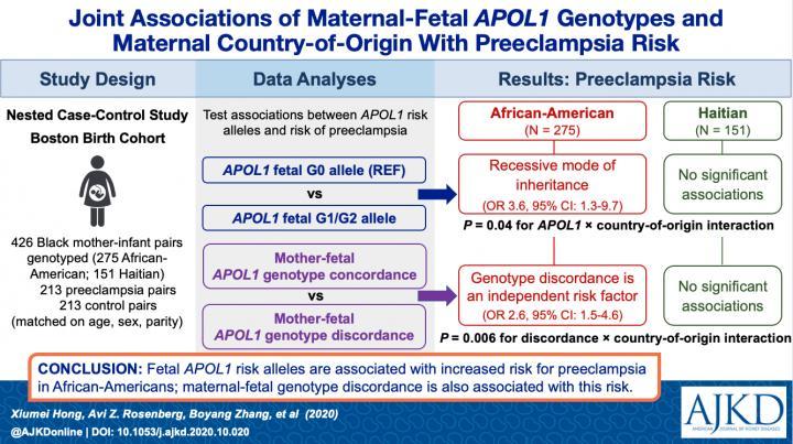 母亲在APOL1基因型上的不一致会导致先兆子痫风险