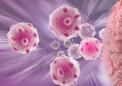 Moffitt研究人员确定癌细胞如何适应恶劣的肿瘤微环境