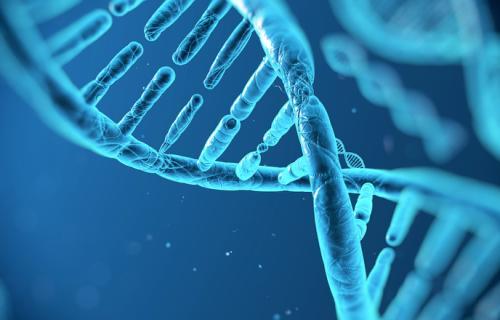 新的简化基因测试可有效筛查遗传性癌症