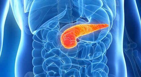 新的胰腺癌疗法延长了生命