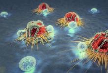 癌症药物载体的结构如何帮助选择性靶向癌细胞