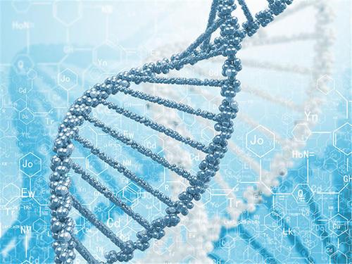 研究小组已利用合成生物学技术开发了一种新型的遗传设计