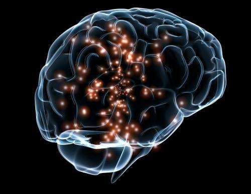 研究人员找到一种在大脑活动可视化中提高空间分辨率的方法