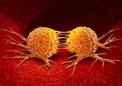 Technion研究人员发现了攻击癌细胞的新途径