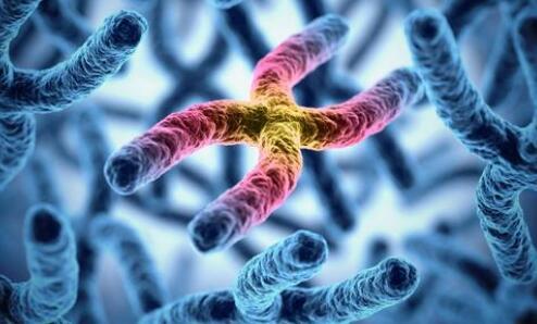 研究证明了筛查癌症儿童遗传基因的原因