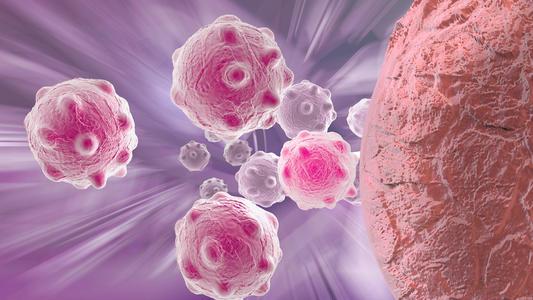 三特异性抗体靶向癌细胞自然杀伤细胞