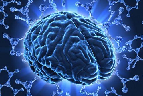 研究人员调查了哪些压力测试会触发类似的大脑激活模式