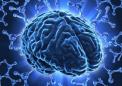 研究人员调查了哪些压力测试会触发类似的大脑激活模式