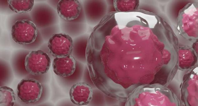 创建特定白细胞的超级士兵来增强抗肿瘤反应