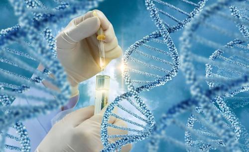 新技术显示出提高基因治疗功效和持久性的潜力