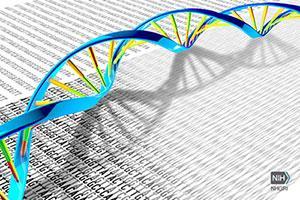 研究详细介绍了64个完整人类基因组的测序