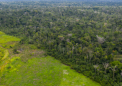 巴西的第一颗自制卫星将进一步关注日益减少的亚马逊森林