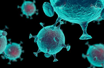 侵入考拉种系的逆转录病毒导致高癌症发生率