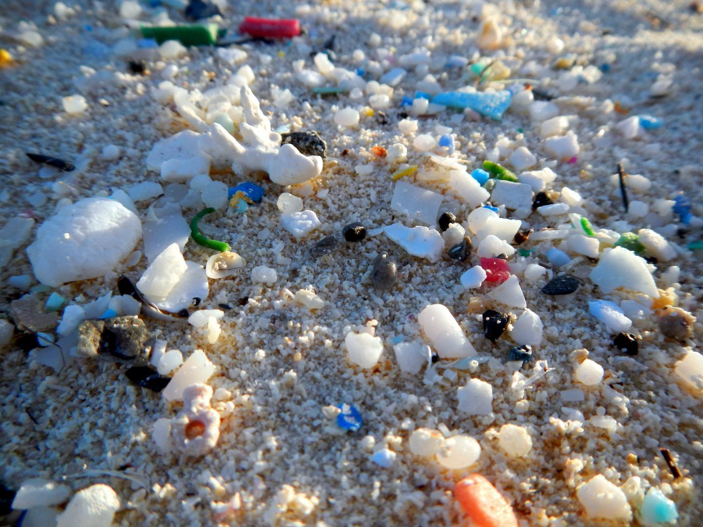 拉里坦河口和沿海海洋的微塑料大小揭示