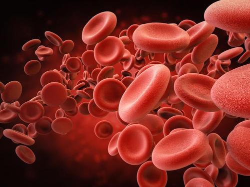 犹他州的研究人员阐明了血液癌的潜在前体