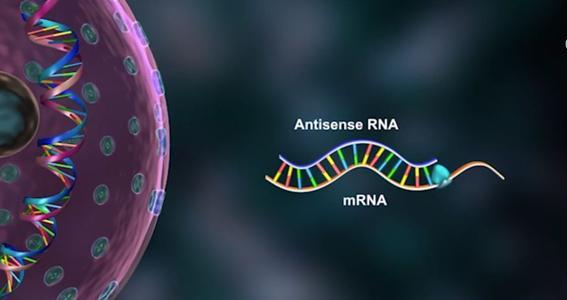 研究人员发现影响基因表达和表型的RNA编辑事件