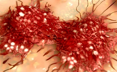新型抑制剂可抗药性肿瘤细胞