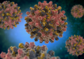 普林斯顿大学的研究人员阐明了乙型肝炎病毒如何建立慢性感染