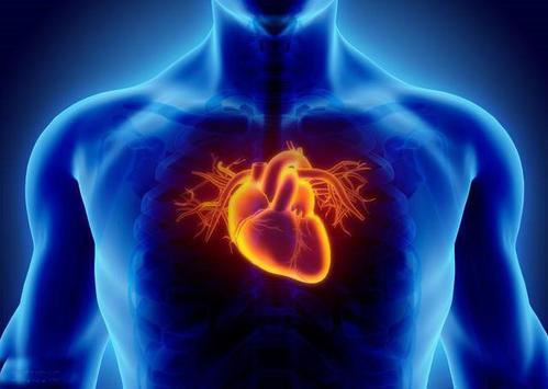 心脏病发作后生存不佳与心脏中信号蛋白水平过高有关