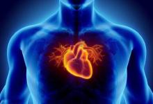 心脏病发作后生存不佳与心脏中信号蛋白水平过高有关