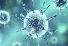 研究表明SARSCoV2中的突变如何使病毒规避免疫防御
