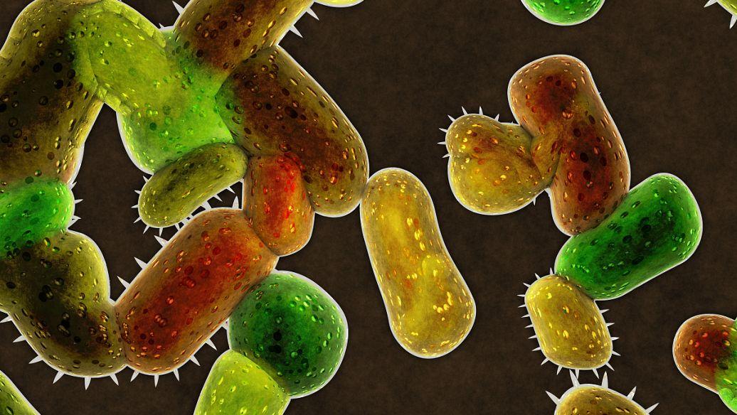 科学家模拟寻找营养细菌的速度