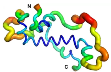 进化如何形成新出现的蛋白质的结构和功能