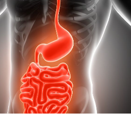 研究揭示了胃腺癌预后的生物标志物