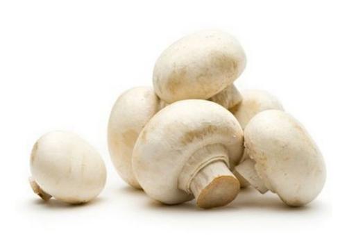 白蘑菇可能减慢前列腺癌的进展