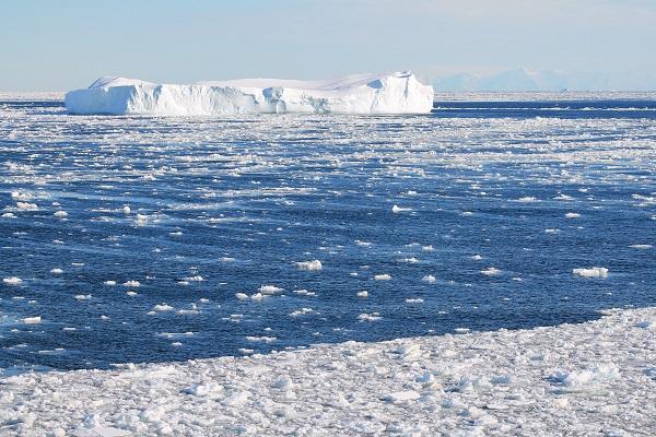 南极海洋生态系统的变化