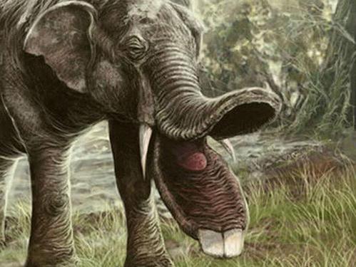 古代大型动物的共生和灭绝是植物驯化的因素