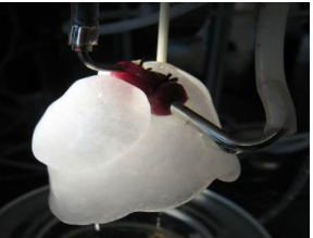 POSTECH研究人员使用3D打印生成人工肺模型